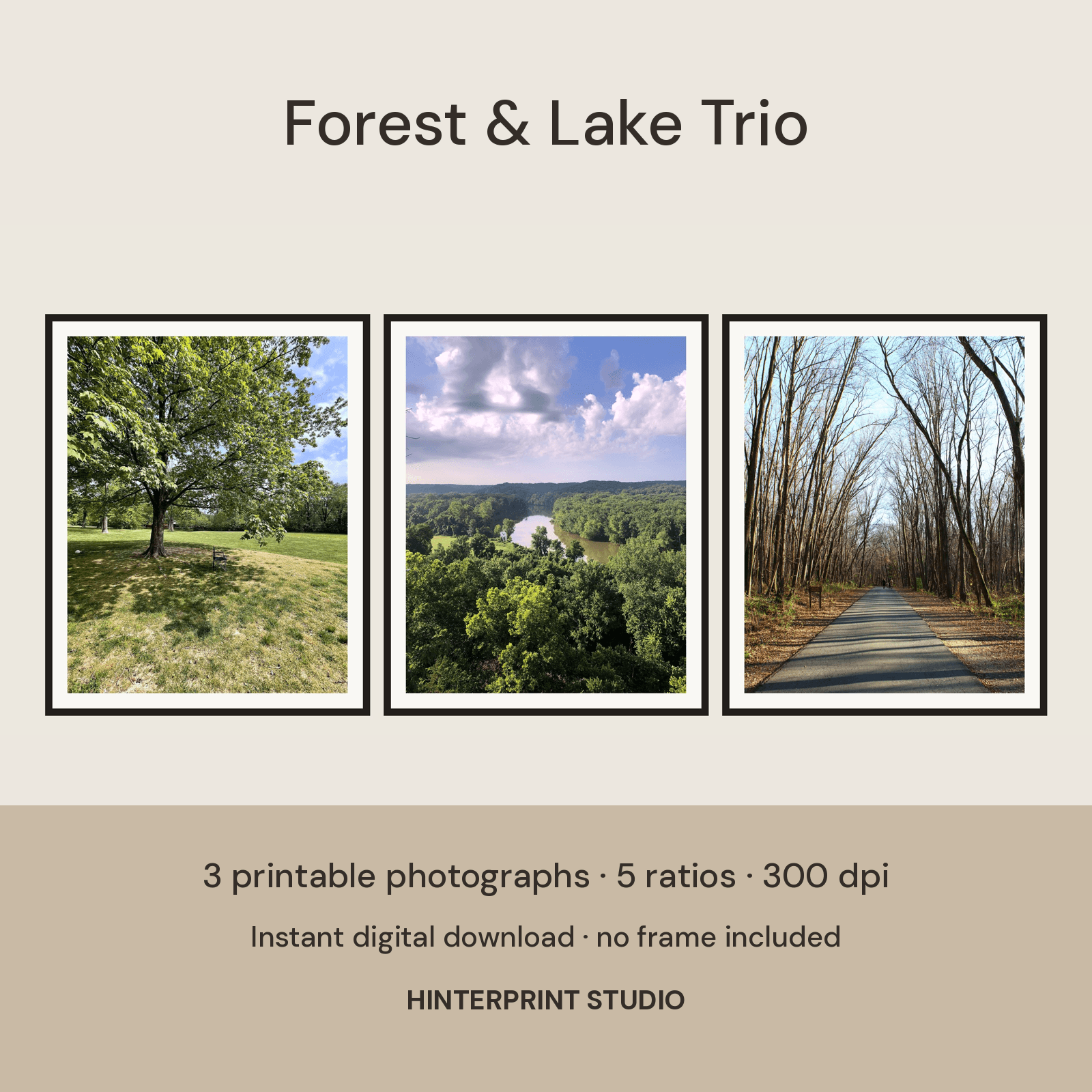 Three framed photographs of green woods, still water, and open countryside.