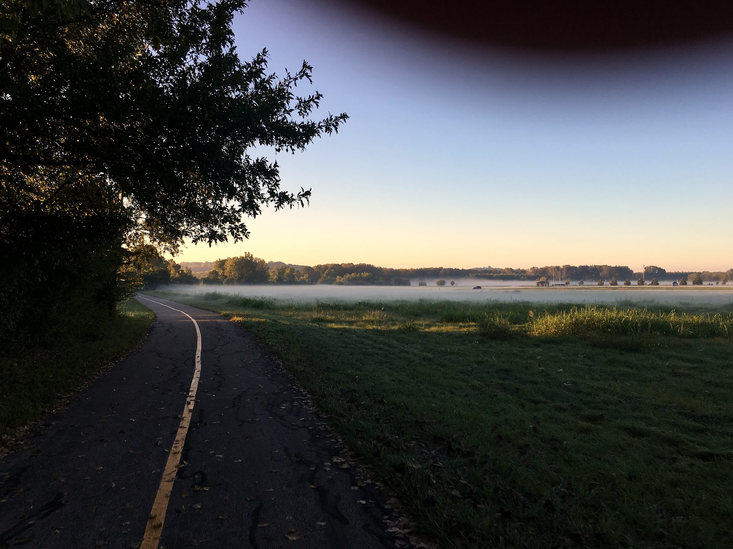 Yellow-lined path curving toward misty water at dawn or dusk.