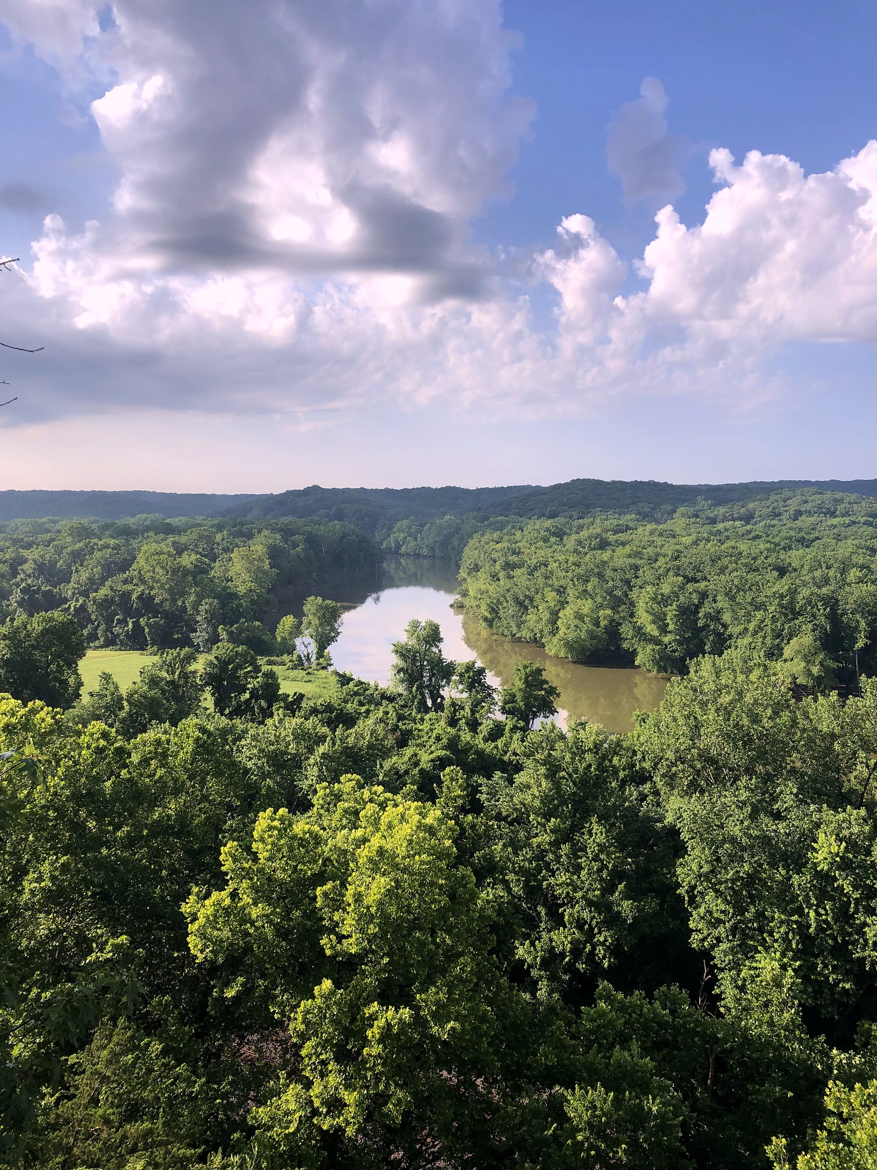 Winding green river through forest under puffy white cumulus.