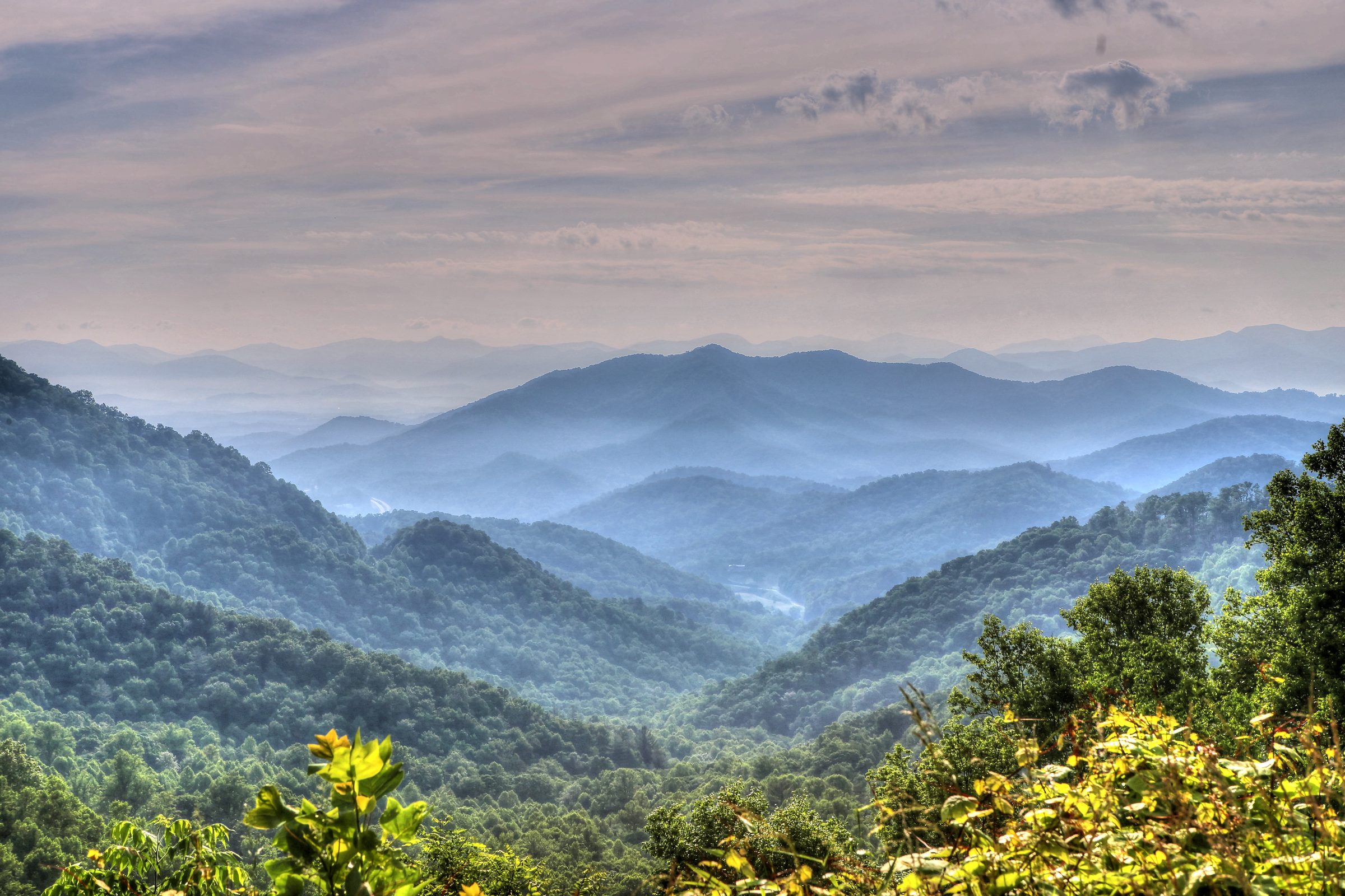 Blue misty mountain hollows framed by dark foreground foliage.