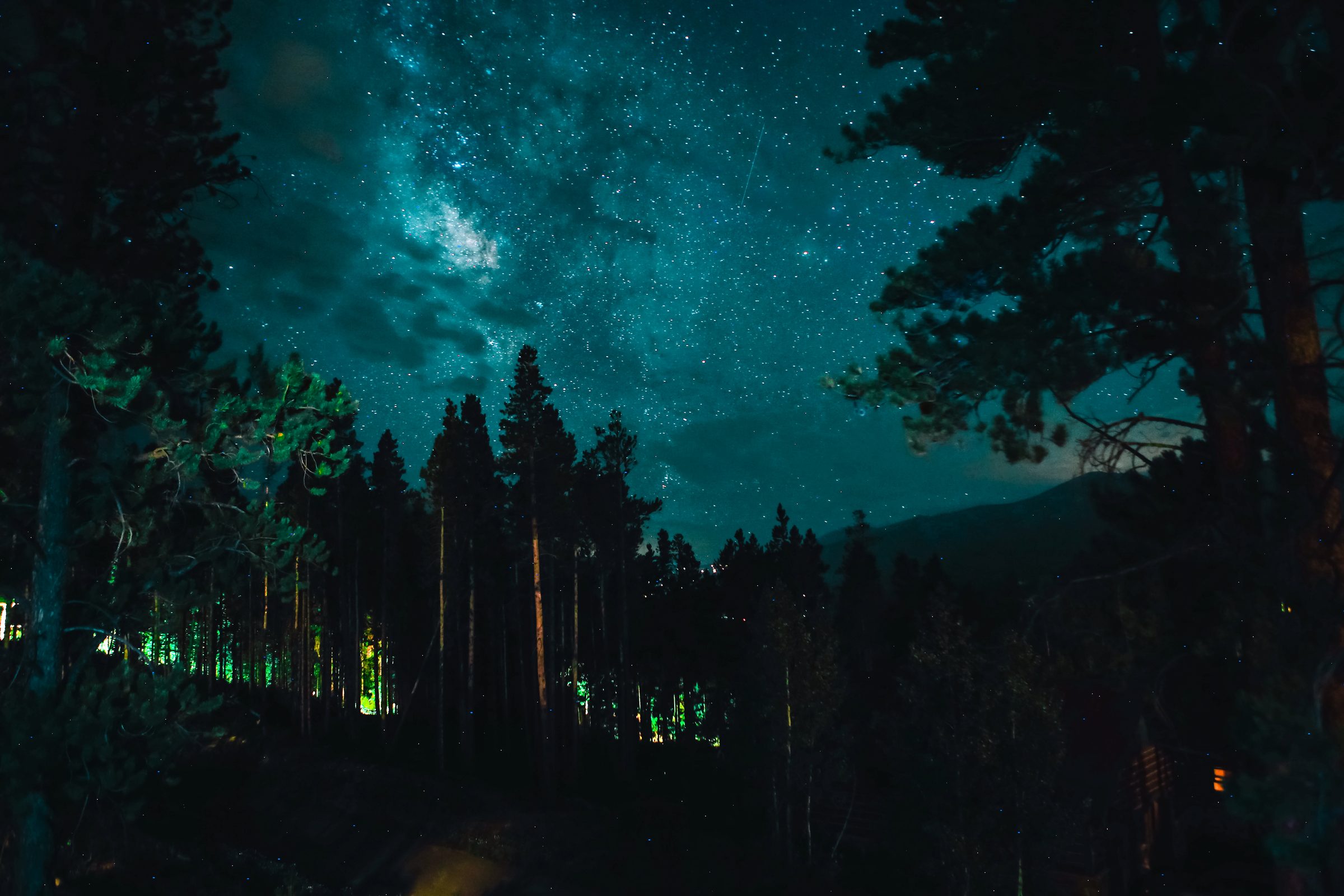 Starry forest night with faint teal glow above the trees.