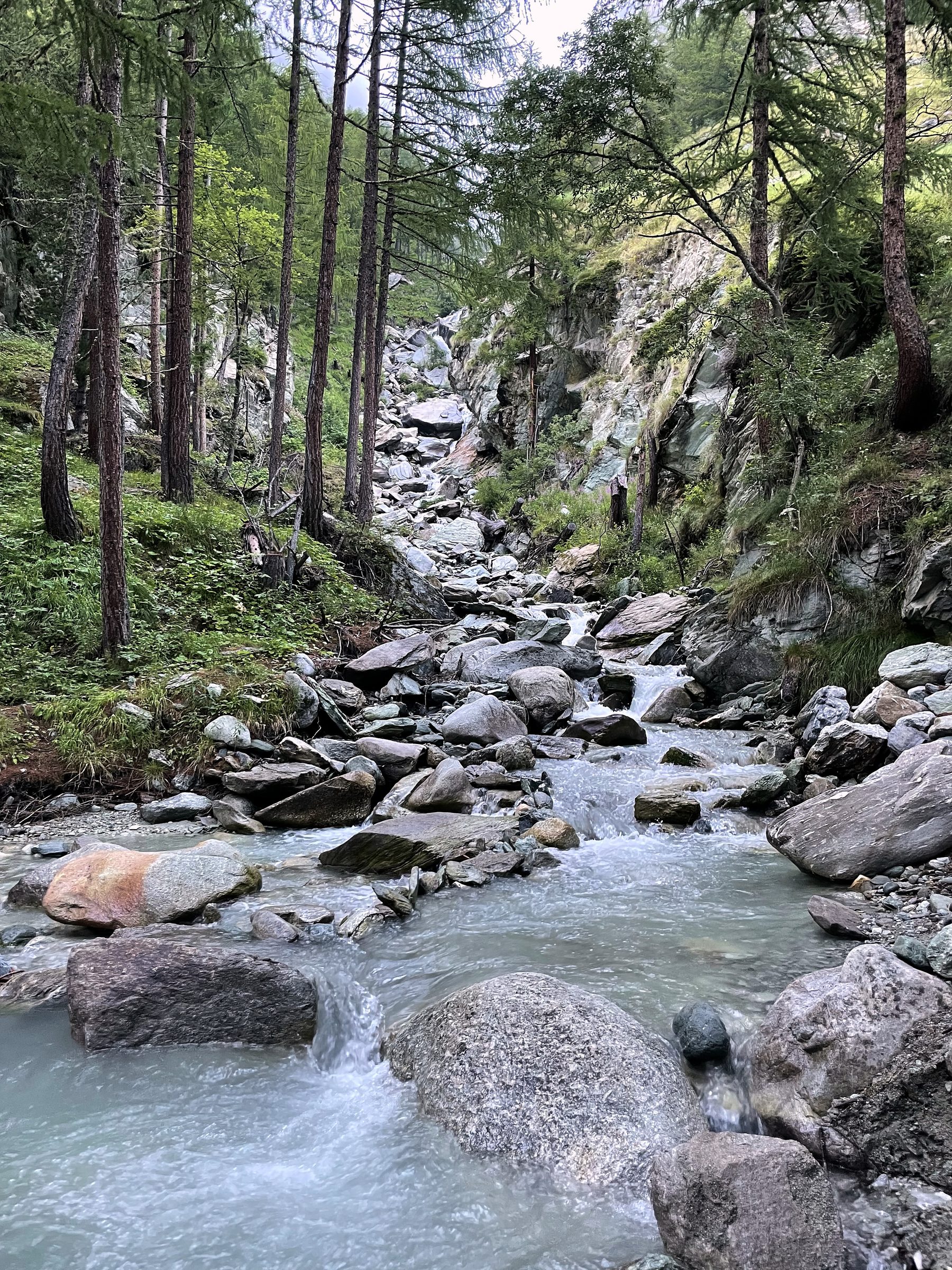 Sunlit mountain creek rushing over grey boulders through forest.