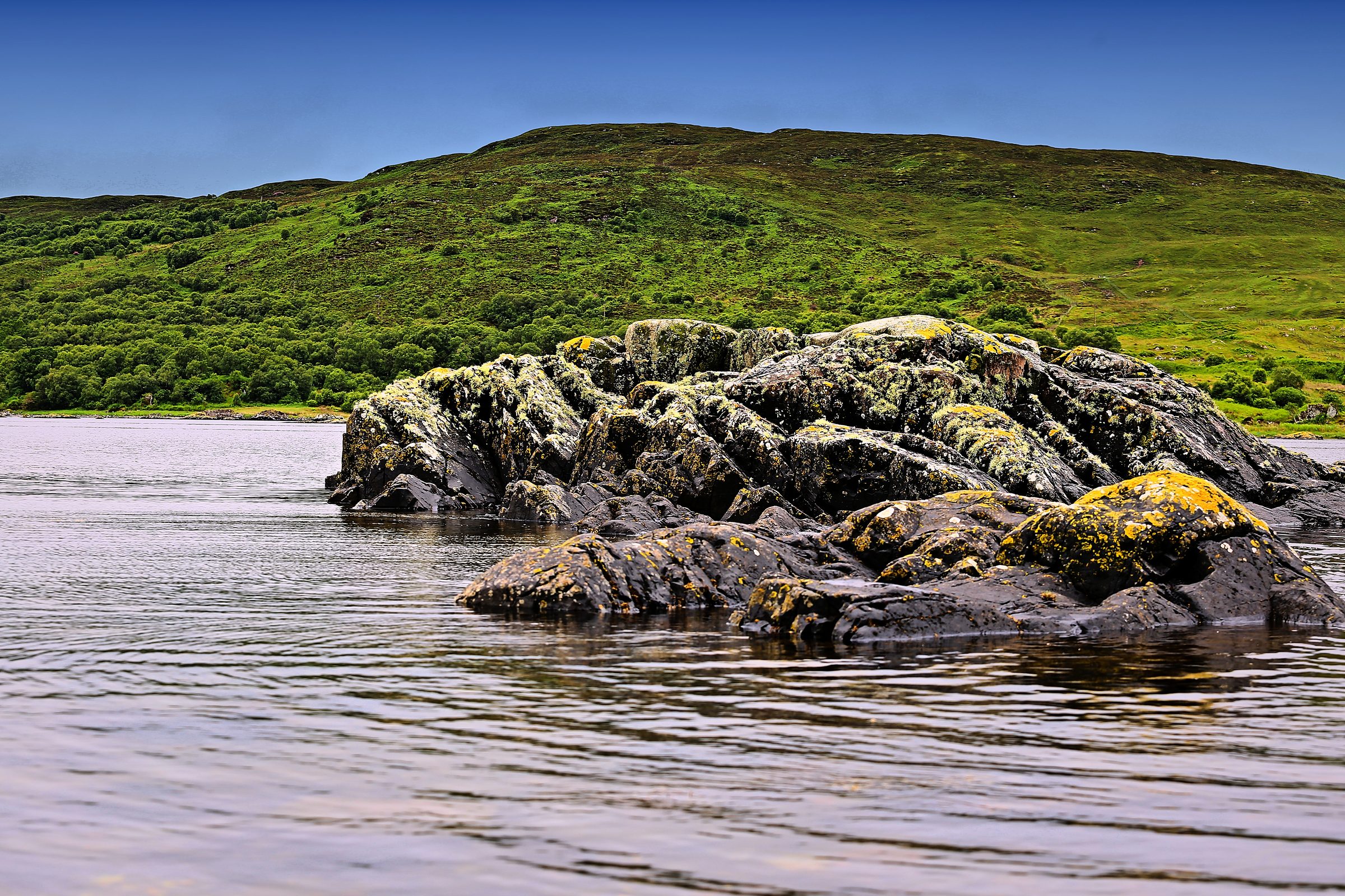 Dark lichen rocks in calm water before a rolling green slope.