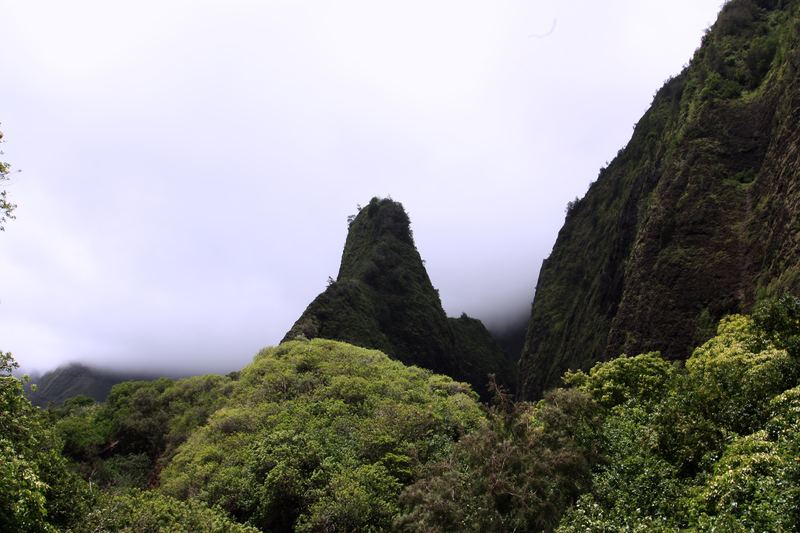 Sharp dark peak rising from misty green forest.