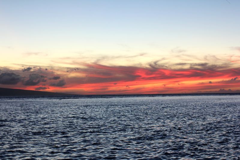 Thin magenta band of sunset cloud over a dark ocean.