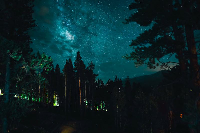 Starry forest night with faint teal glow above the trees.