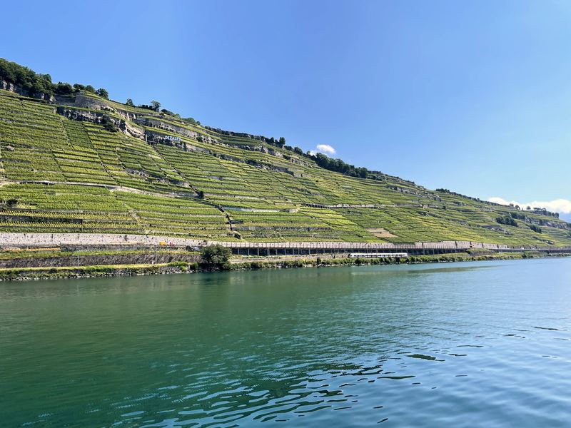 Steep green terraces rising from turquoise lake—Dézaley country.