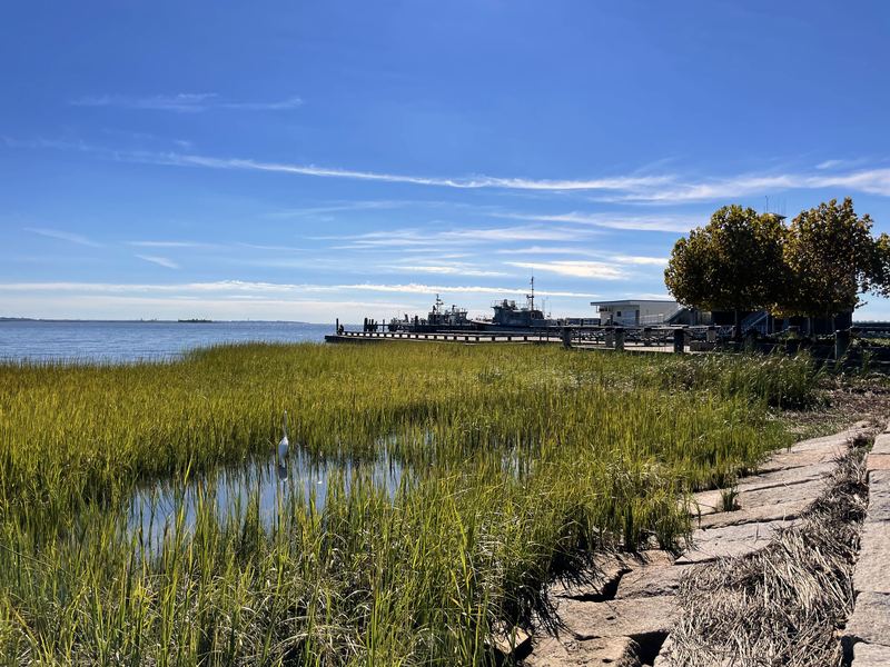 Coastal marsh grass with calm bay and pier beyond.