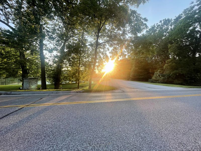 Sunburst through trees over asphalt with yellow parking lines.