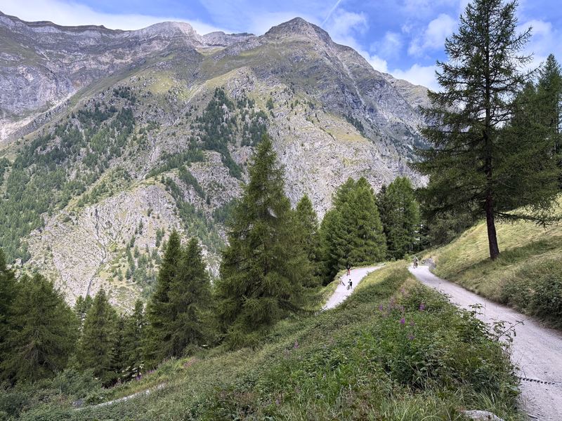 Dirt switchback through alpine meadow with cyclists and peaks.