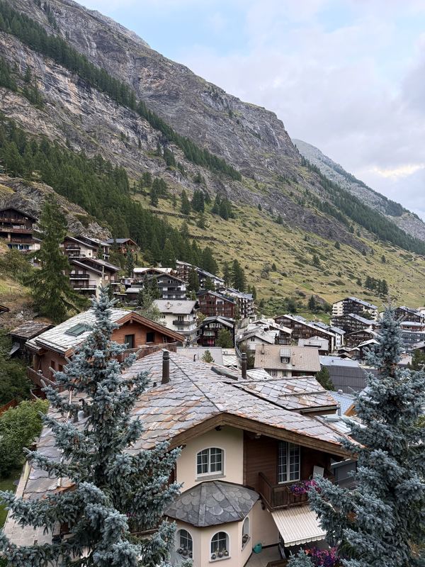 Spruce trees framing snowy chalet roofs in a steep village.